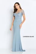 Cameron Blake Illusion Lace Evening Dress CB111