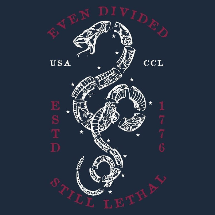 Design with a snake and text on a dark blue background
