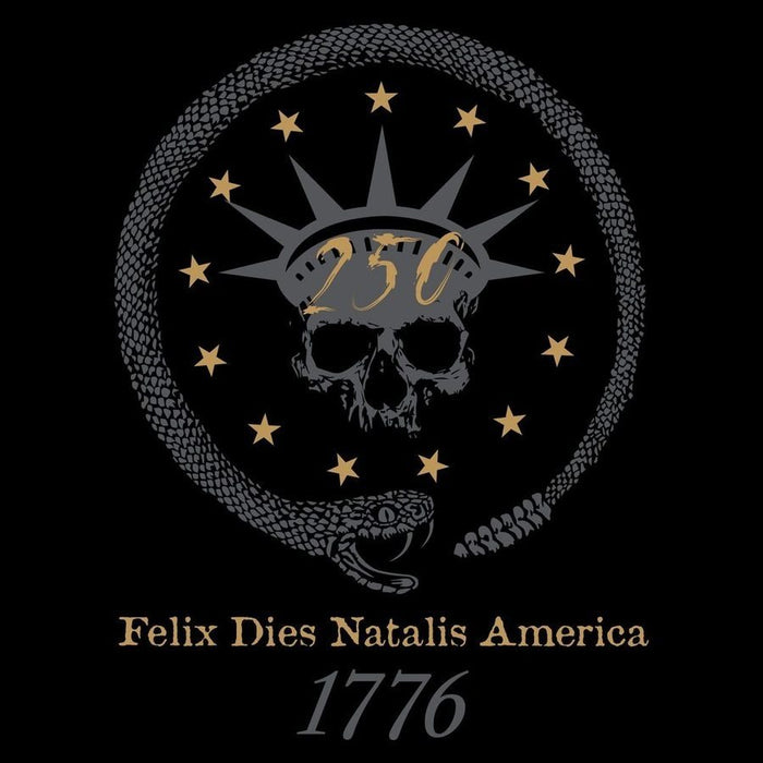 Design with skull, stars, and '250' on a black background
