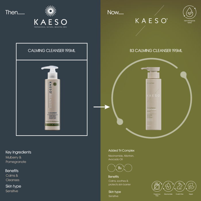 Kaeso B3 Face Care Calming Cleanser 195ml
