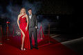 Ladivine Dress CDS428