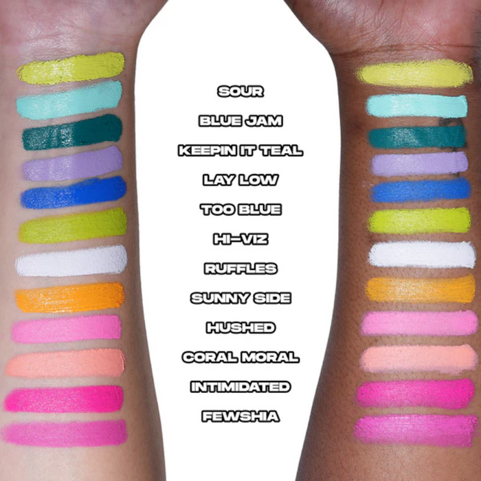 Made By Mitchell Colour Case Cosmetic Paint Palette The Electrics