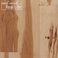 Natural Hickory 3/4 in. T x 2-1/4 in. W Smooth Solid Hardwood Flooring (24 sq.ft./case)