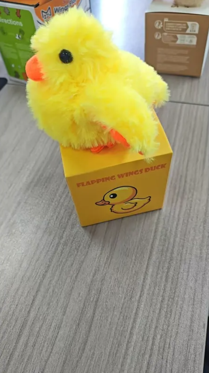 Little Duck