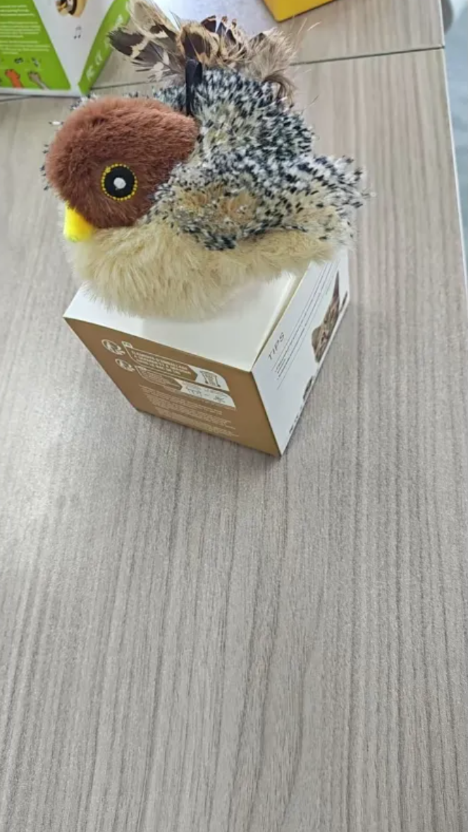 A Little Sparrow