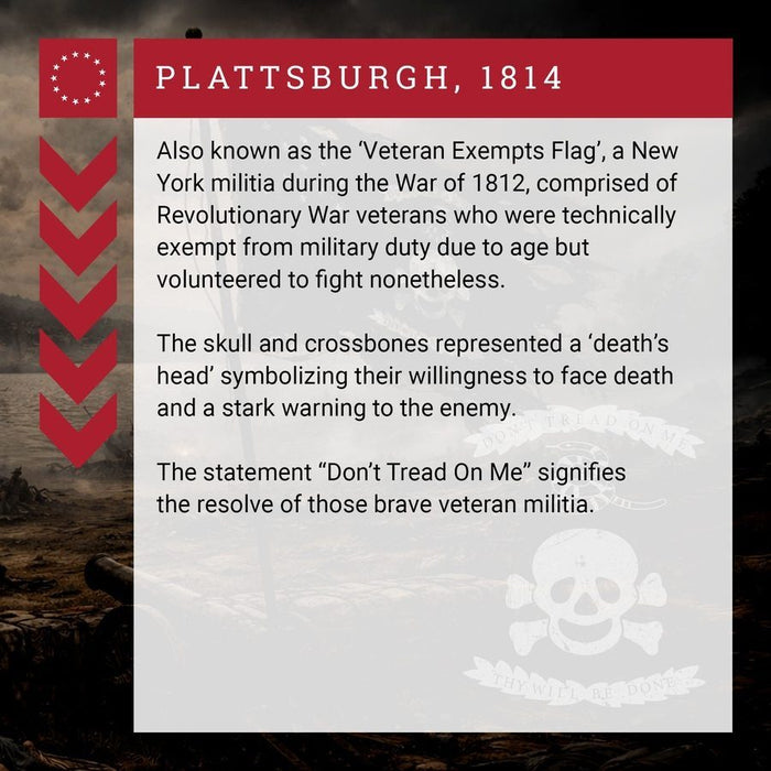 Informational text about the 'Plattsburgh, 1814' flag with a skull and crossbones symbol.