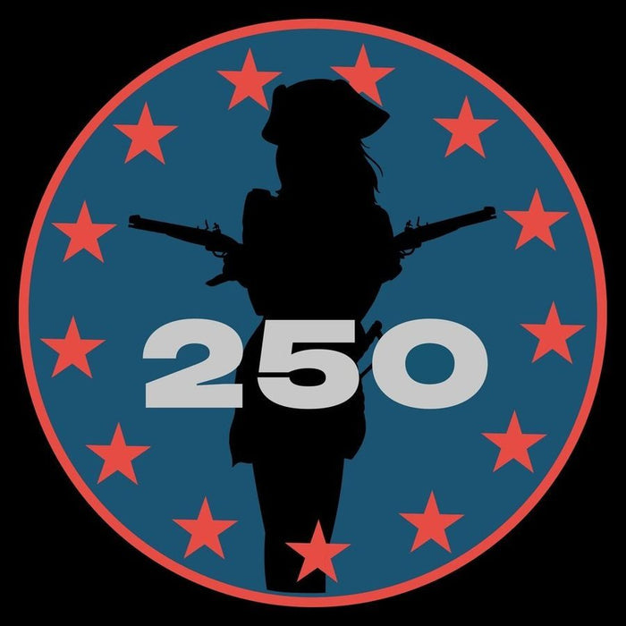 Silhouette of a person with rifles surrounded by red stars on a blue background with '250' text.