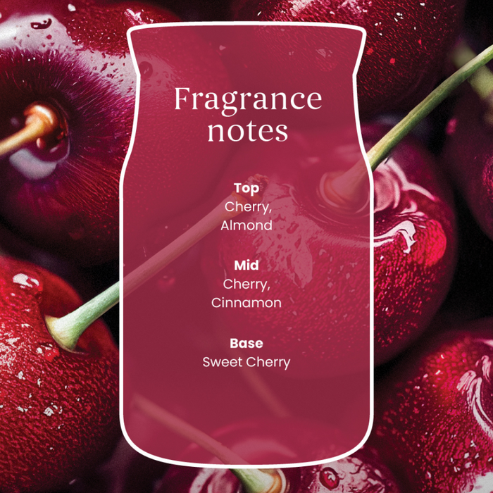 Yankee Candle Black Cherry Small Signature Jar Candle