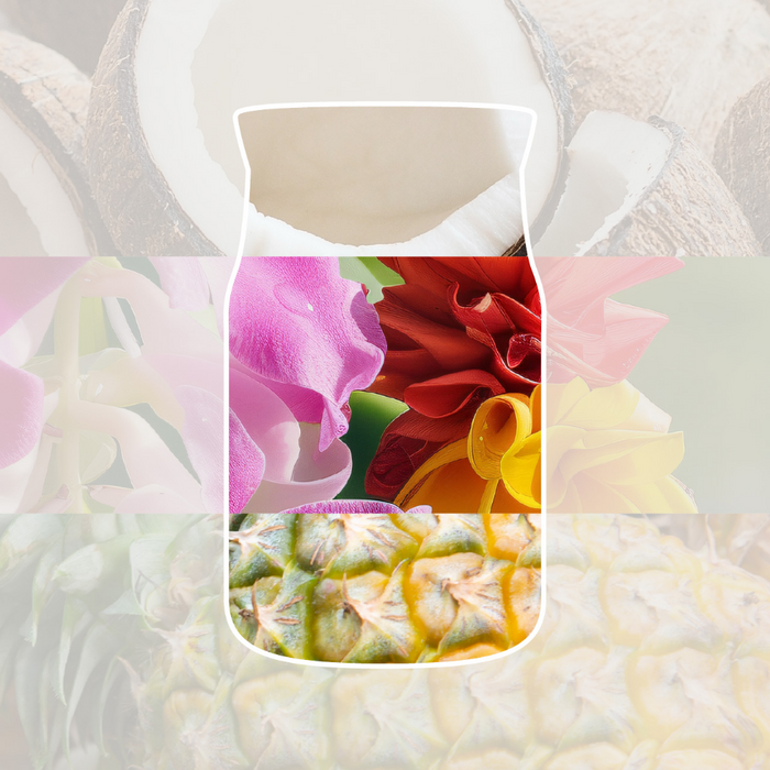 Yankee Candle Coconut Beach Small Signature Jar Candle