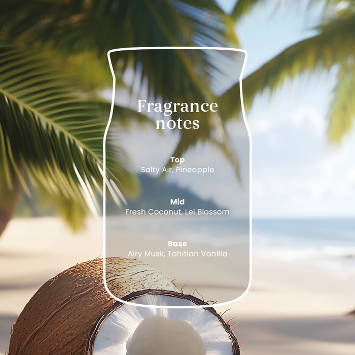 Yankee Candle Coconut Beach Small Signature Jar Candle